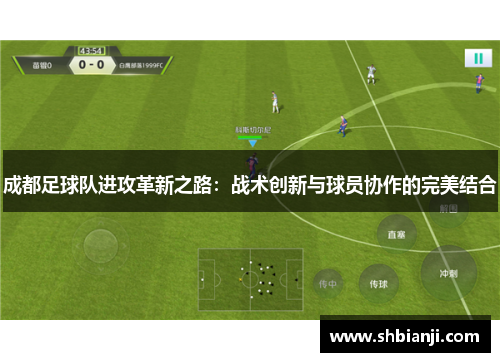 成都足球队进攻革新之路：战术创新与球员协作的完美结合