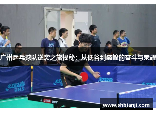 广州乒乓球队逆袭之旅揭秘：从低谷到巅峰的奋斗与荣耀